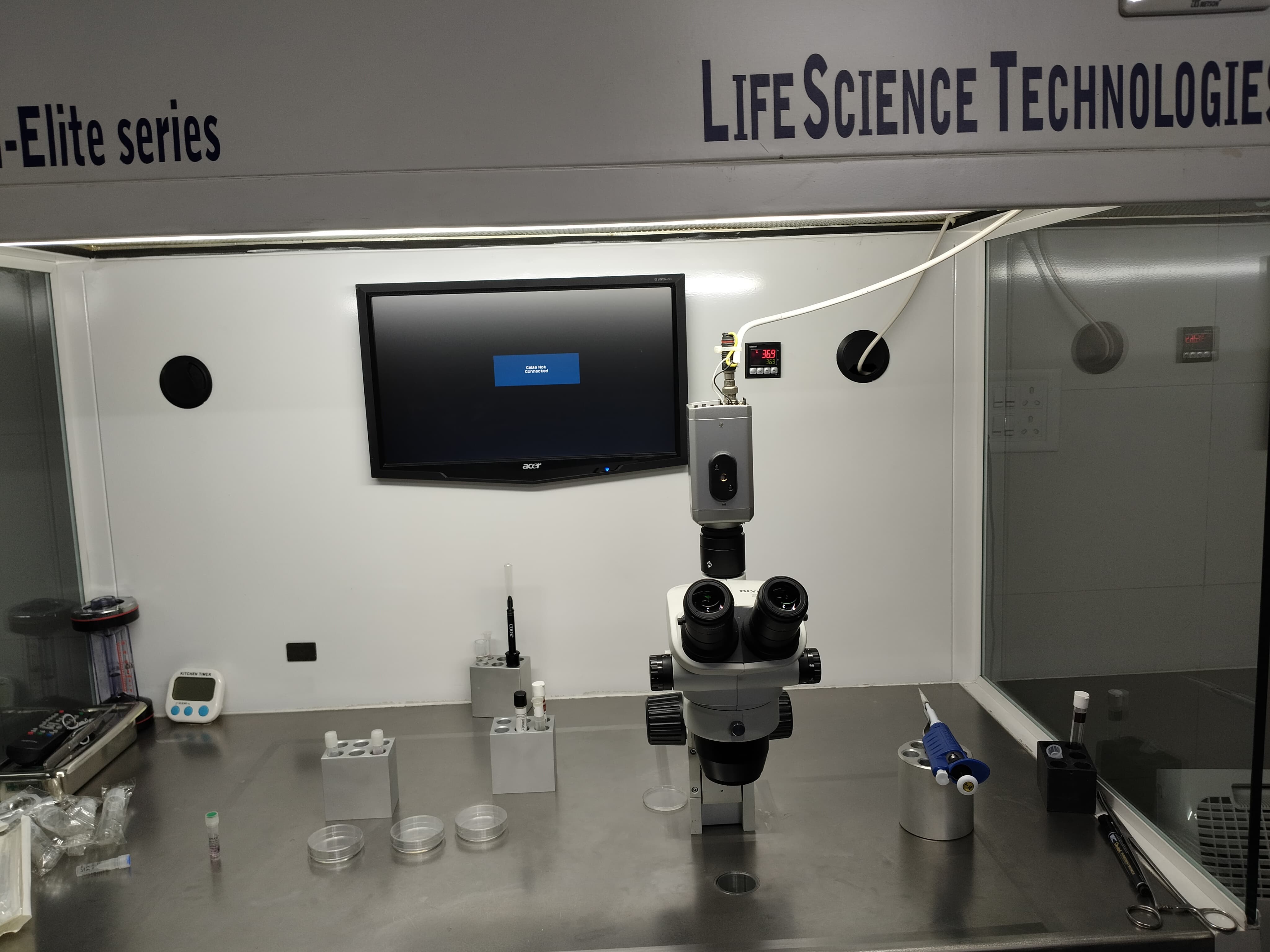 Embryos growing in incubator